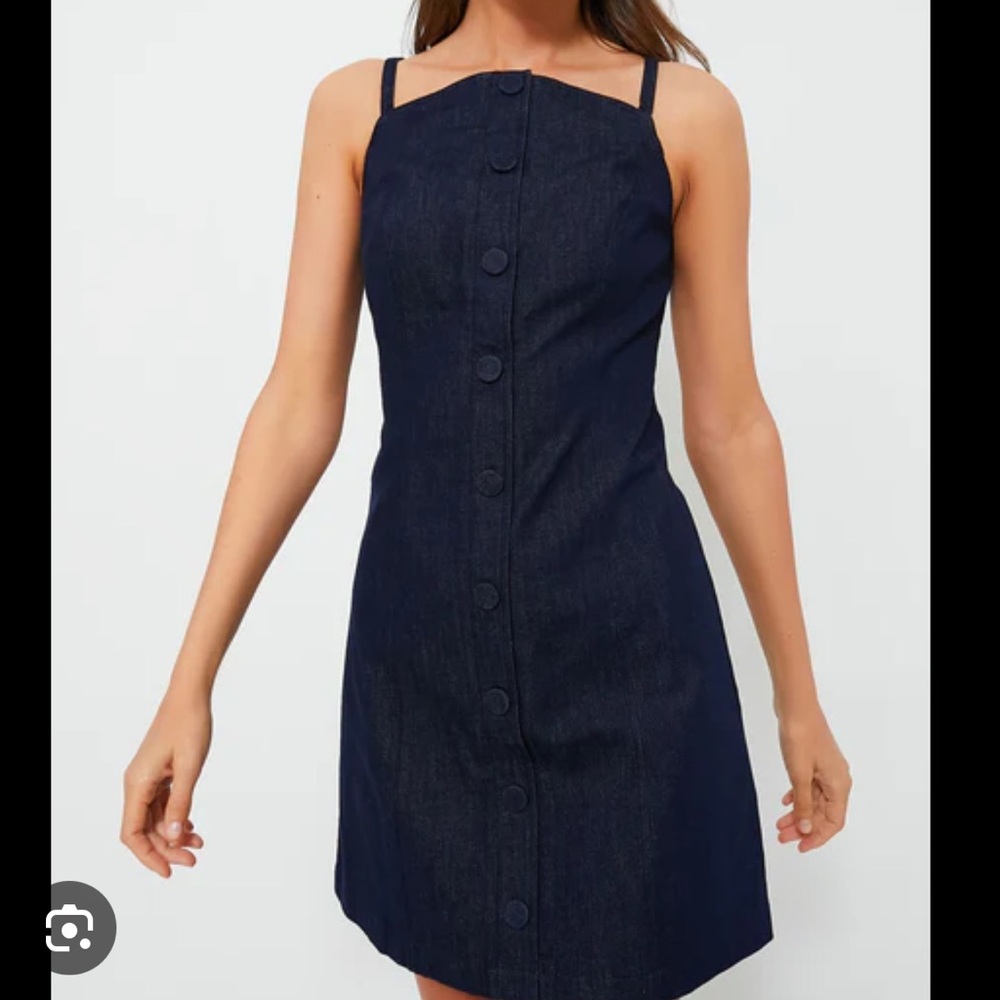 Tuckernuck Denim Dress